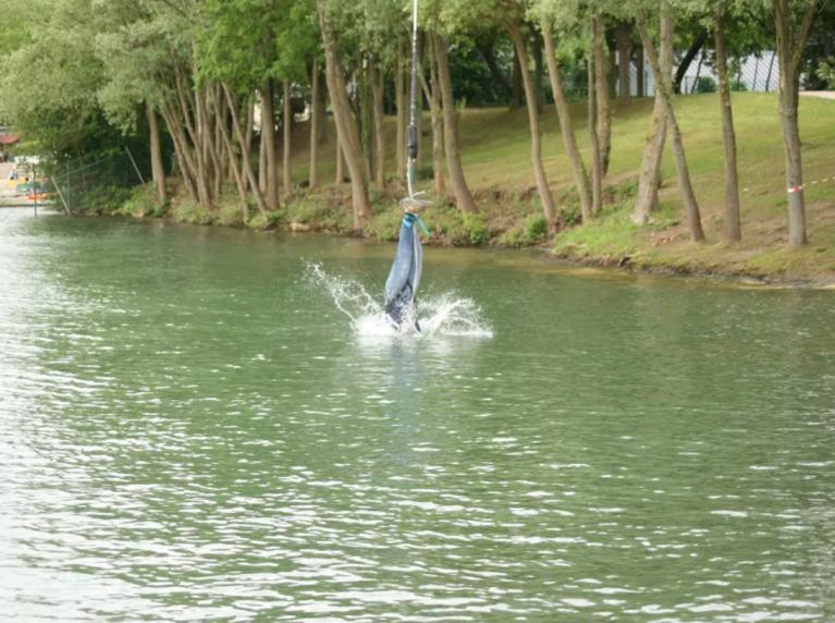 Saut à l'élastique Ile de France